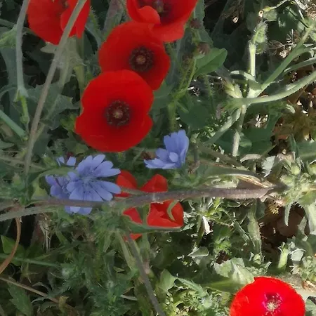 Hacienda El Mirador * El Gastor