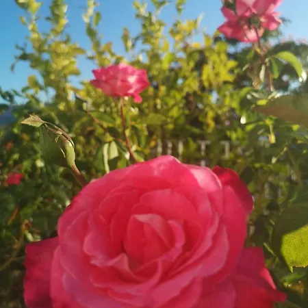 Hacienda El Mirador *